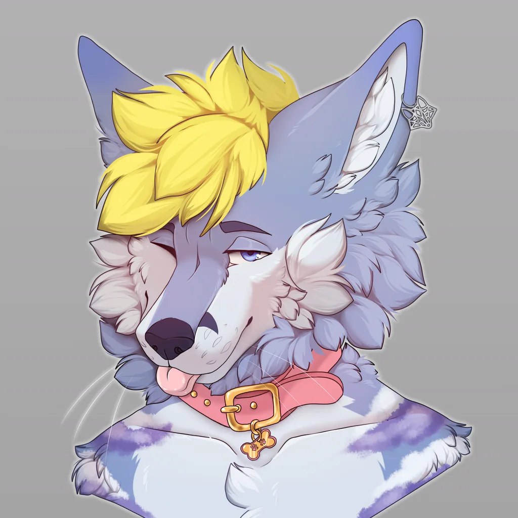 SkyFOX